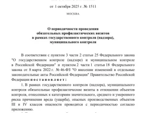 Установлена периодичность проведения обязательных профилактических визитов в рамках государственного контроля (надзора), муниципального контроля