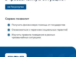 О цифровом сервисе «Чрезвычайная ситуация»